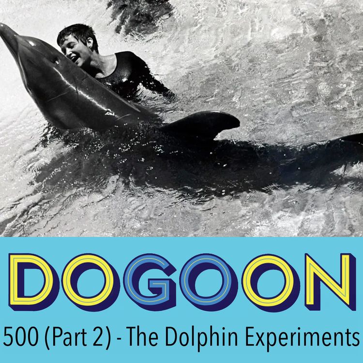 cover art for 500 (Part 2) - The Dolphin Experiments with Kirsty Webeck and Suren Jayemanne