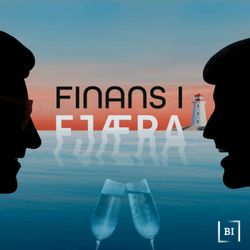 cover art for Finans i Fjæra